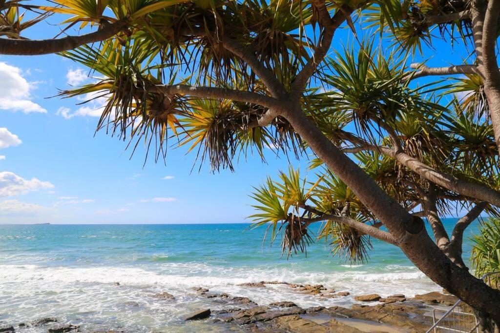 אלכסנדרה הדלנד Alex Heads Beachfront Resort King Bed Studio Room מראה חיצוני תמונה